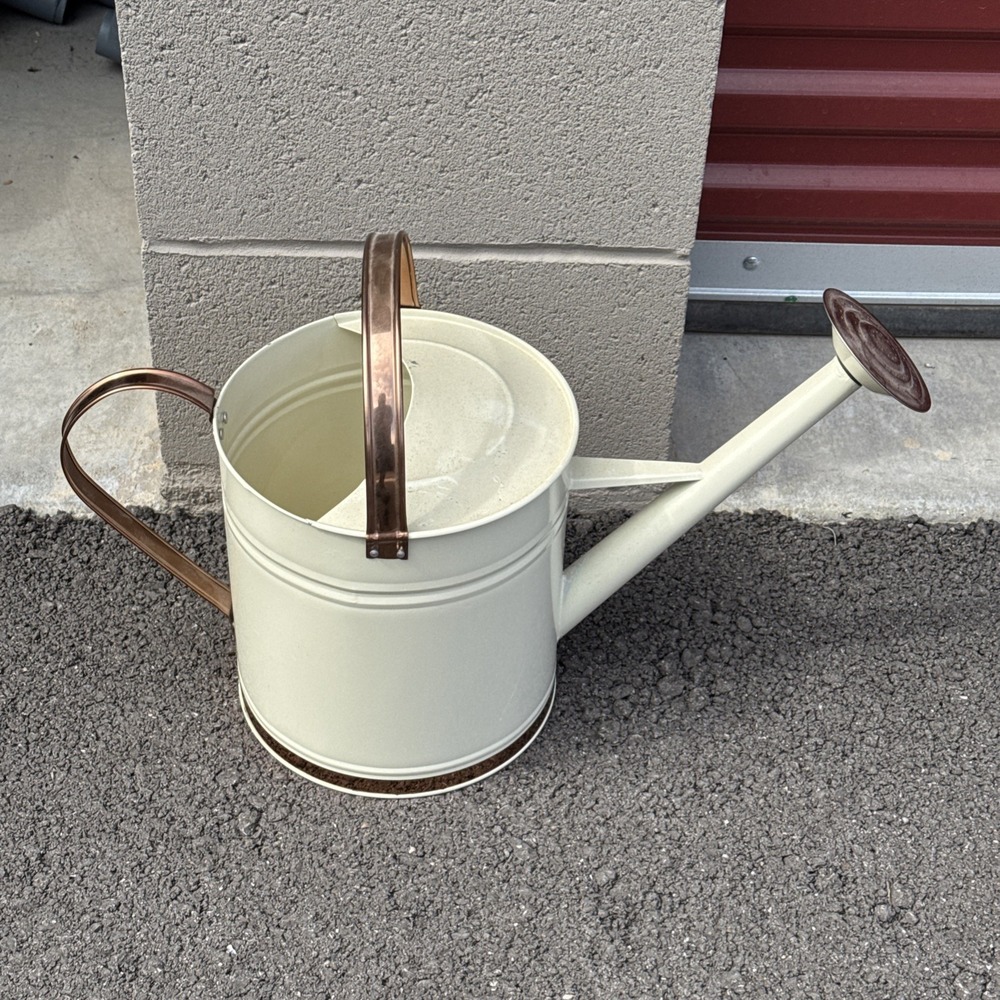 Metal Watering Can with Removable Spout Stainless Steel gallon cream cooper Tone